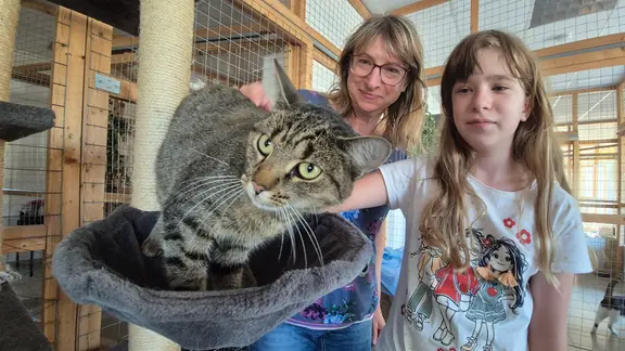 Frau und Mädchen streicheln Katze auf Katzenbaum