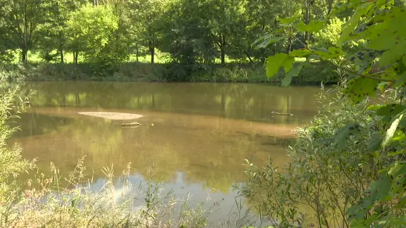 Ein ruhig fließender Fluss in einer grünen Aue