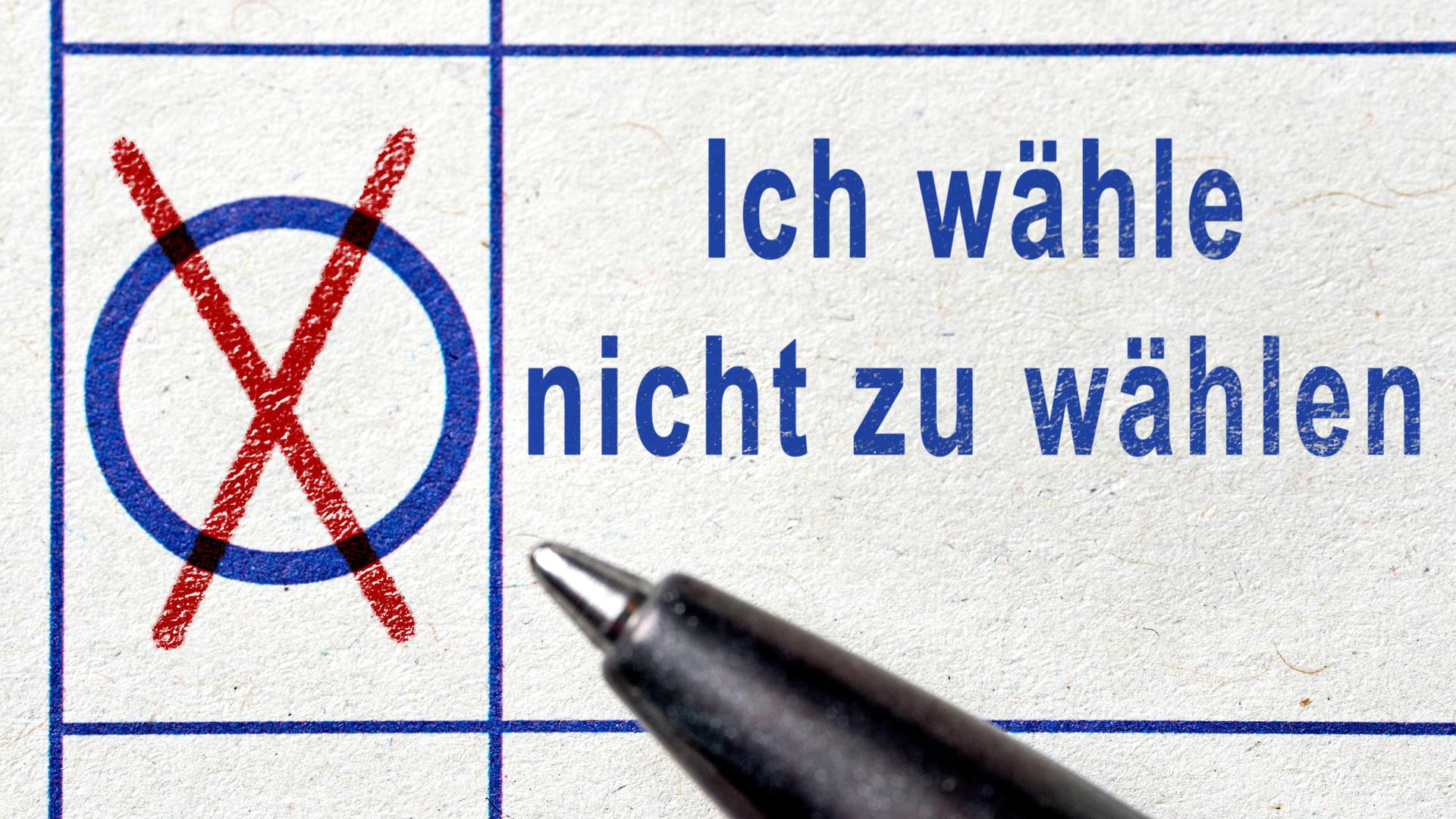 Landtagswahl in Sachsen-Anhalt 2026: Was Nichtwählen für das Wahlergebnis bedeutet | Michael Bihlmayer