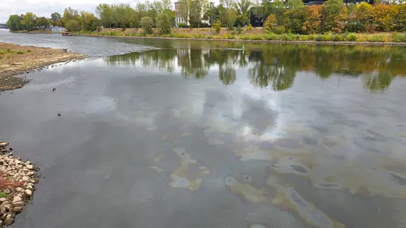 Öl-Film auf der Elbe in Magdeburg