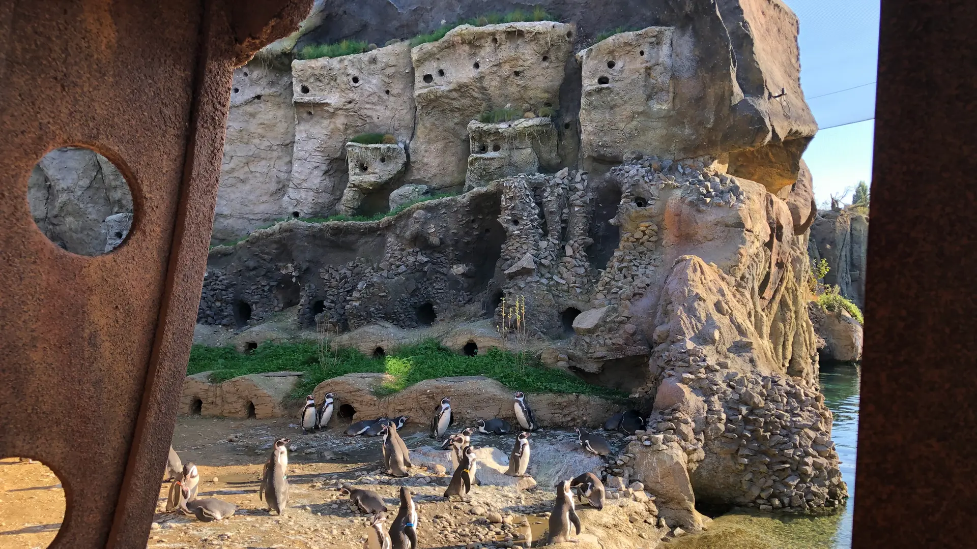 Was tun Zoos für den Artenschutz?