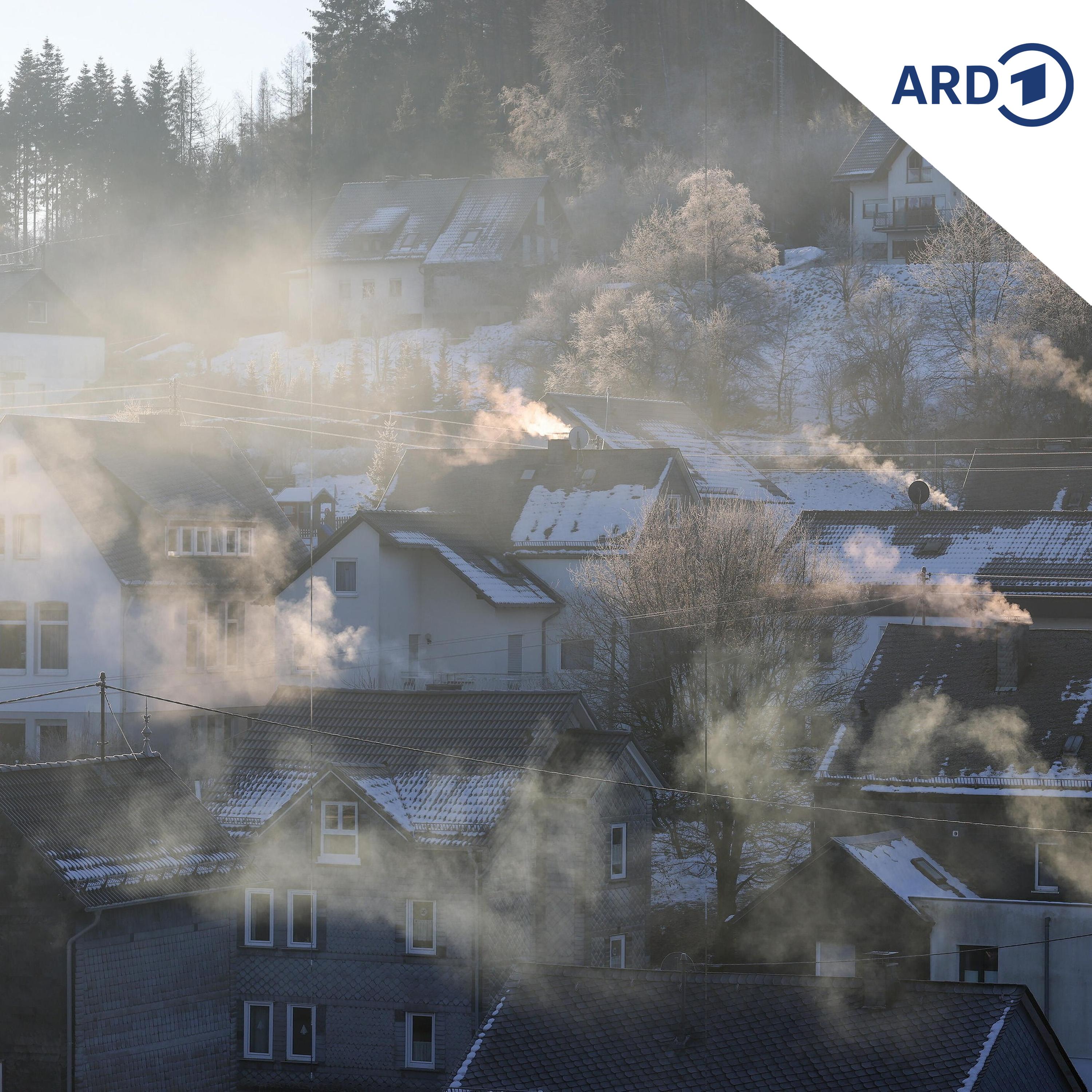 Höherer CO2-Preis: Wird Heizen teurer? episode artwork