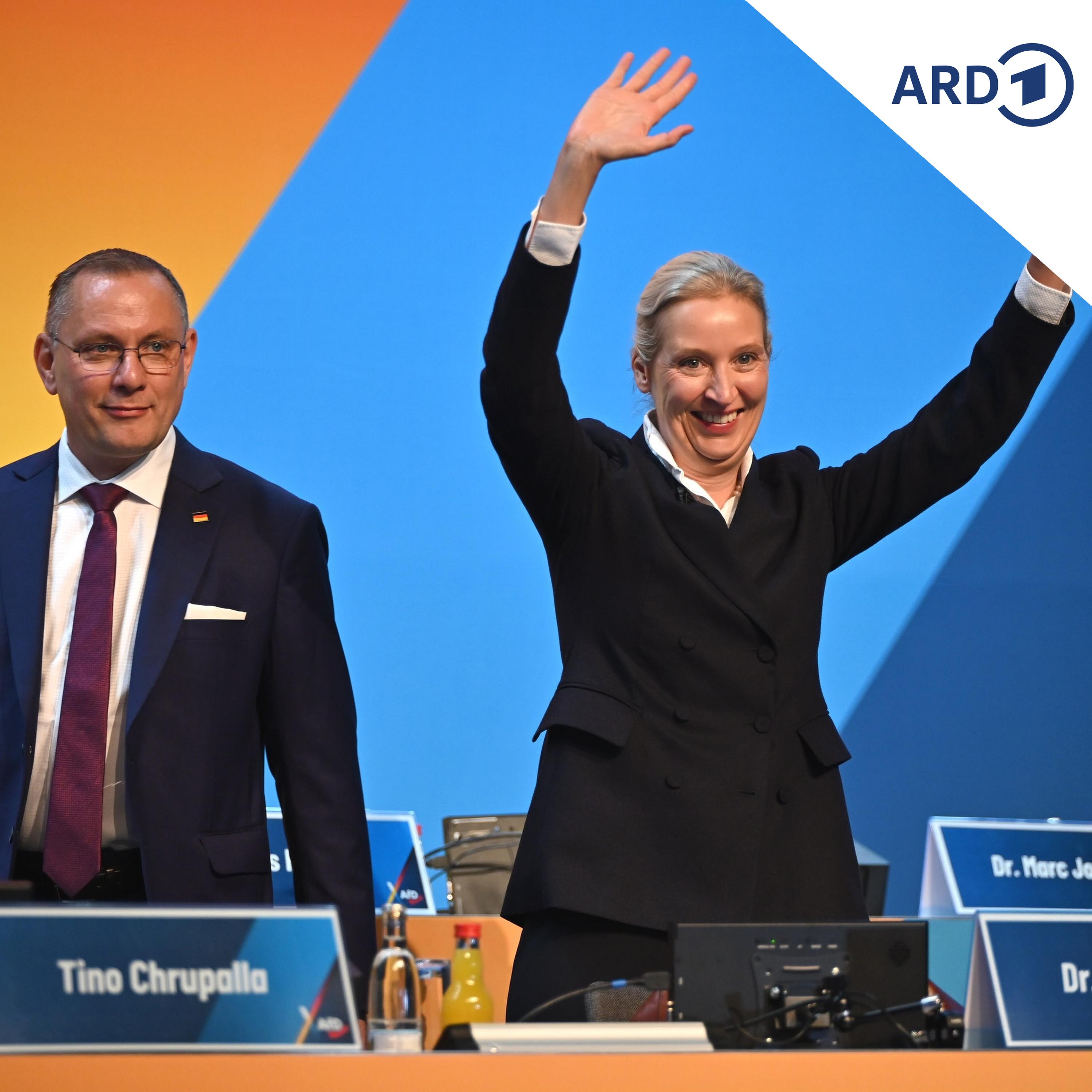 Weidel und Chrupalla: So lief ihre Wiederwahl an die AfD-Spitze episode artwork