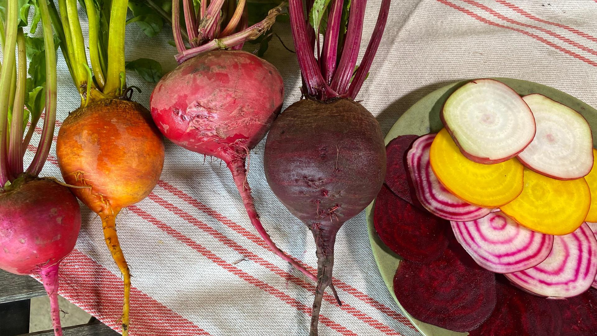 Rote Bete pflanzen und genieen