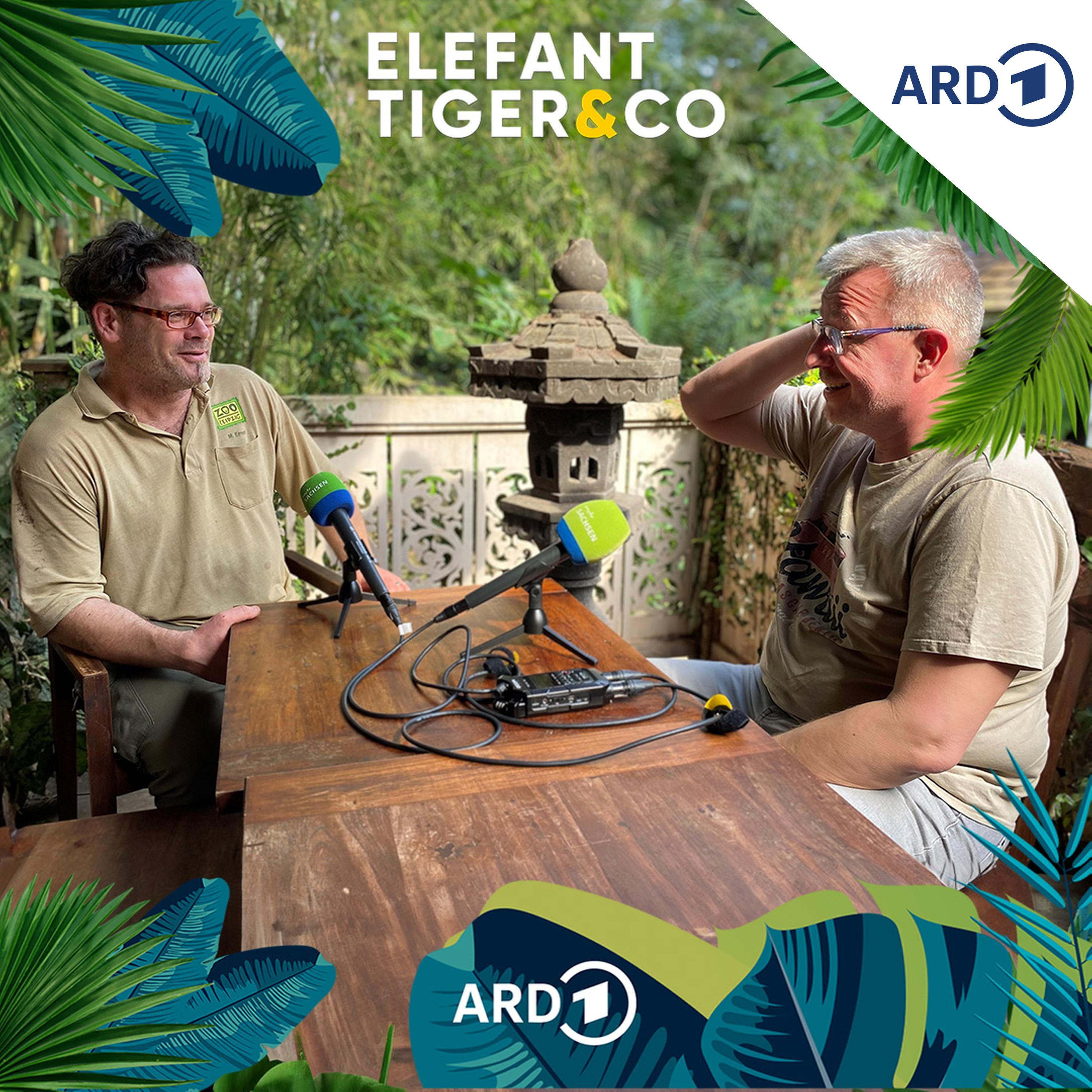 Play ETC-Classics - mit Bereichsleiter Michael Ernst vom Gondwanaland