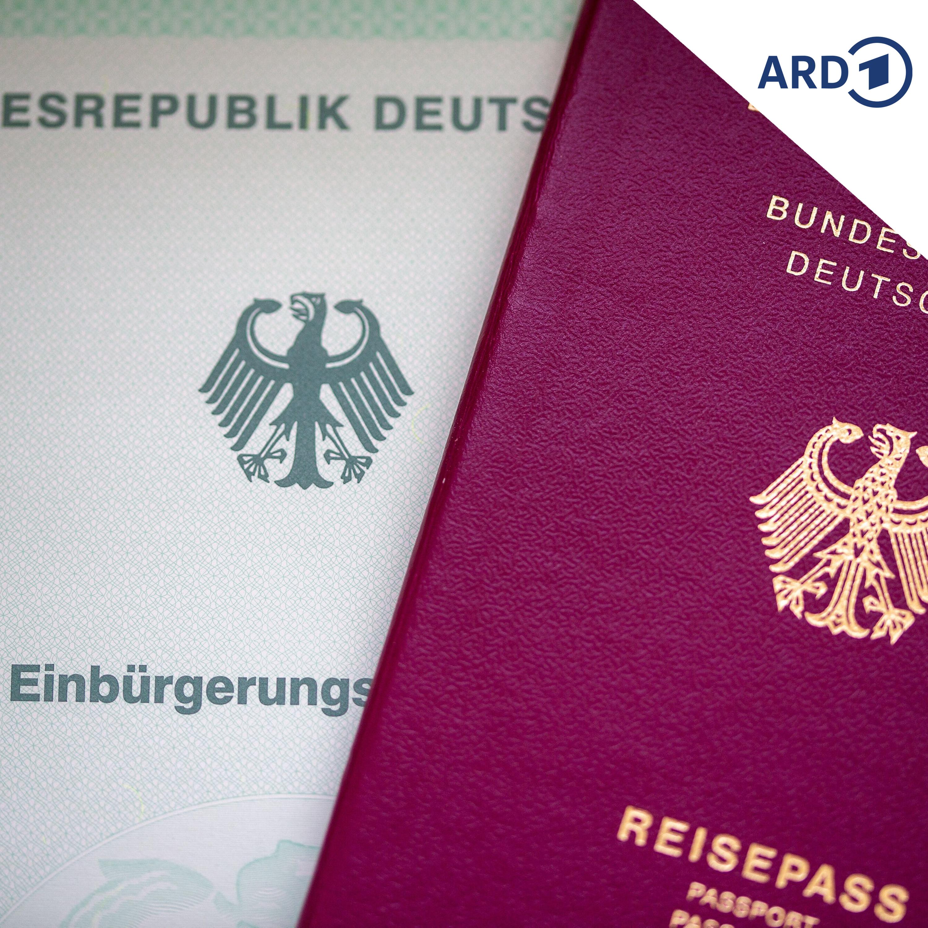 Burgenlandkreis heißt 58 neue Staatsbürger willkommen episode artwork