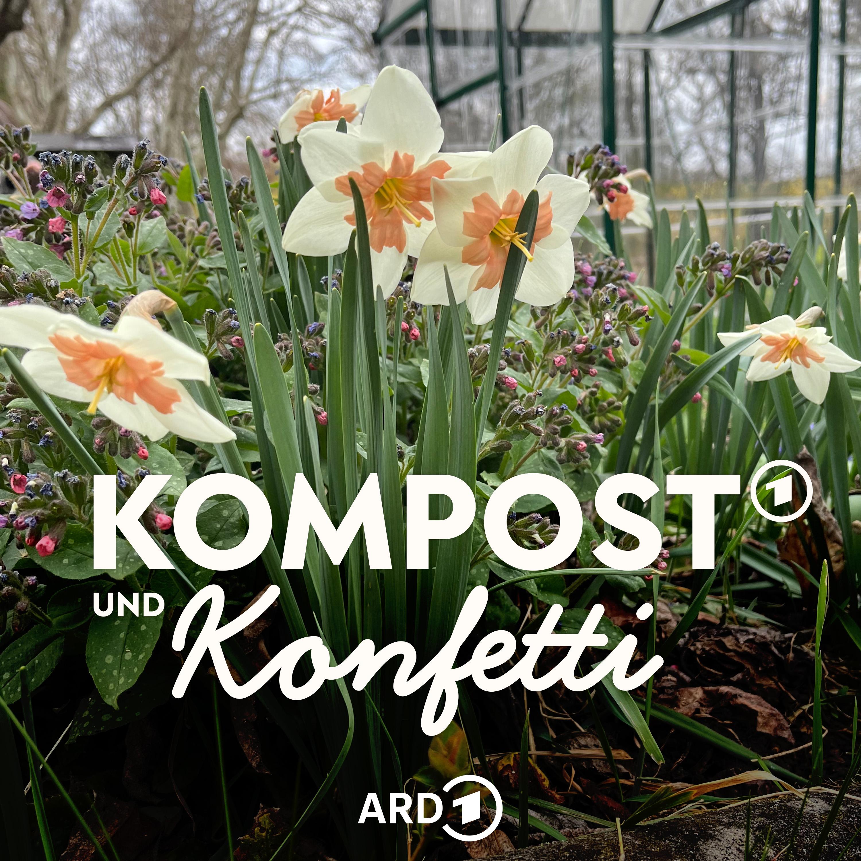 Ostern im Garten: Die Natur dekoriert sich selbst episode artwork