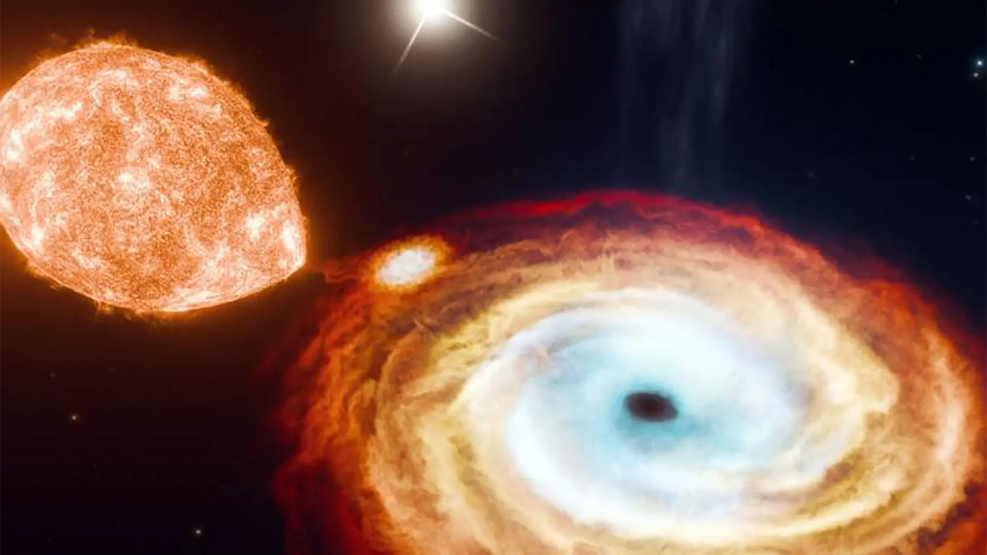 V404 Cygni: Erstes Schwarzes-Loch-Trio entdeckt | mdr.de