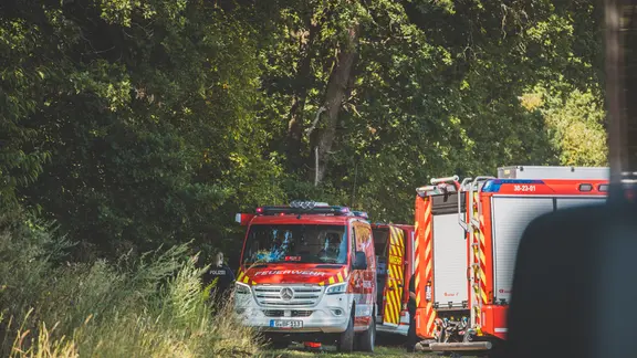 Brand im Stadtwald Gera
