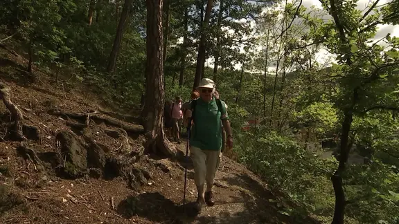 Menschen wandern auf einem Wanderweg in einem Wald.