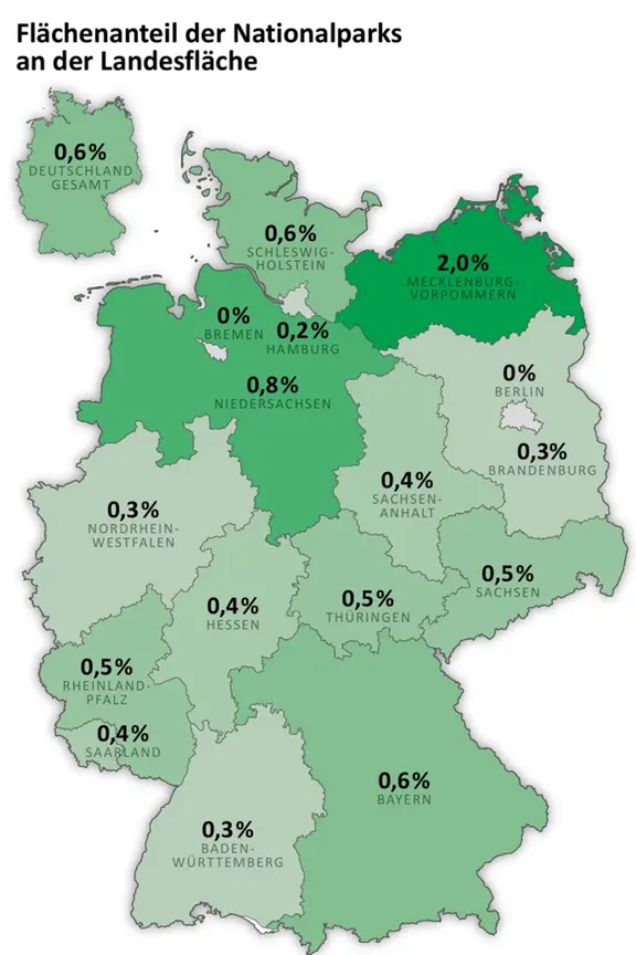 Schutzgebiete reichen nicht: Mehr Wildnis in Deutschland gefordert