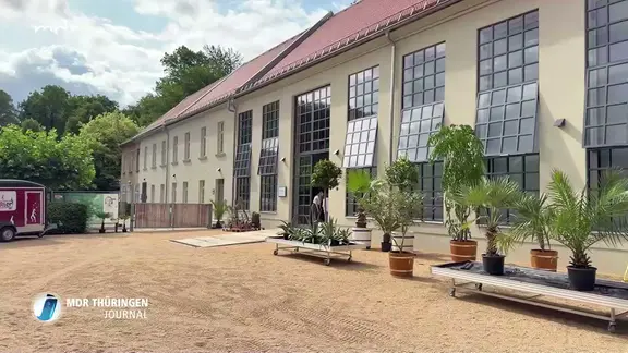 Szene aus Livestream MDR-Fernsehen