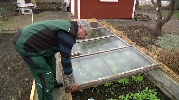 cannabisblüten dünger Cannabis-Dünger-Set 2 x 1 Liter – Purgrün