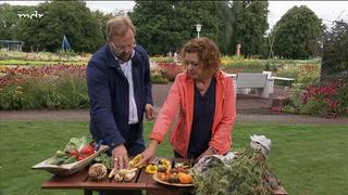 Eigenes Saatgut gewinnen