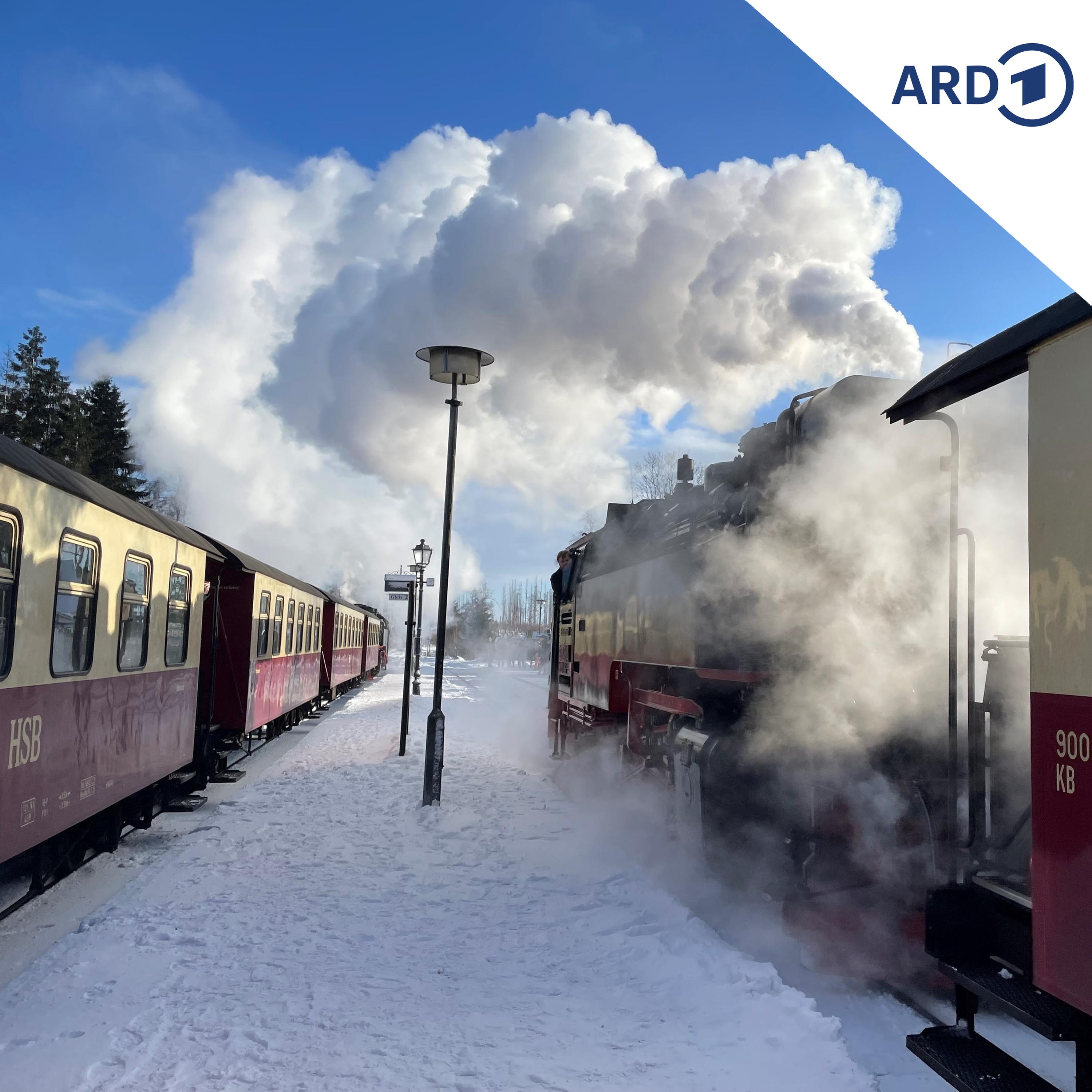 Harzer Schmalspurbahn: Mit der Dampflok bis Braunlage? episode artwork