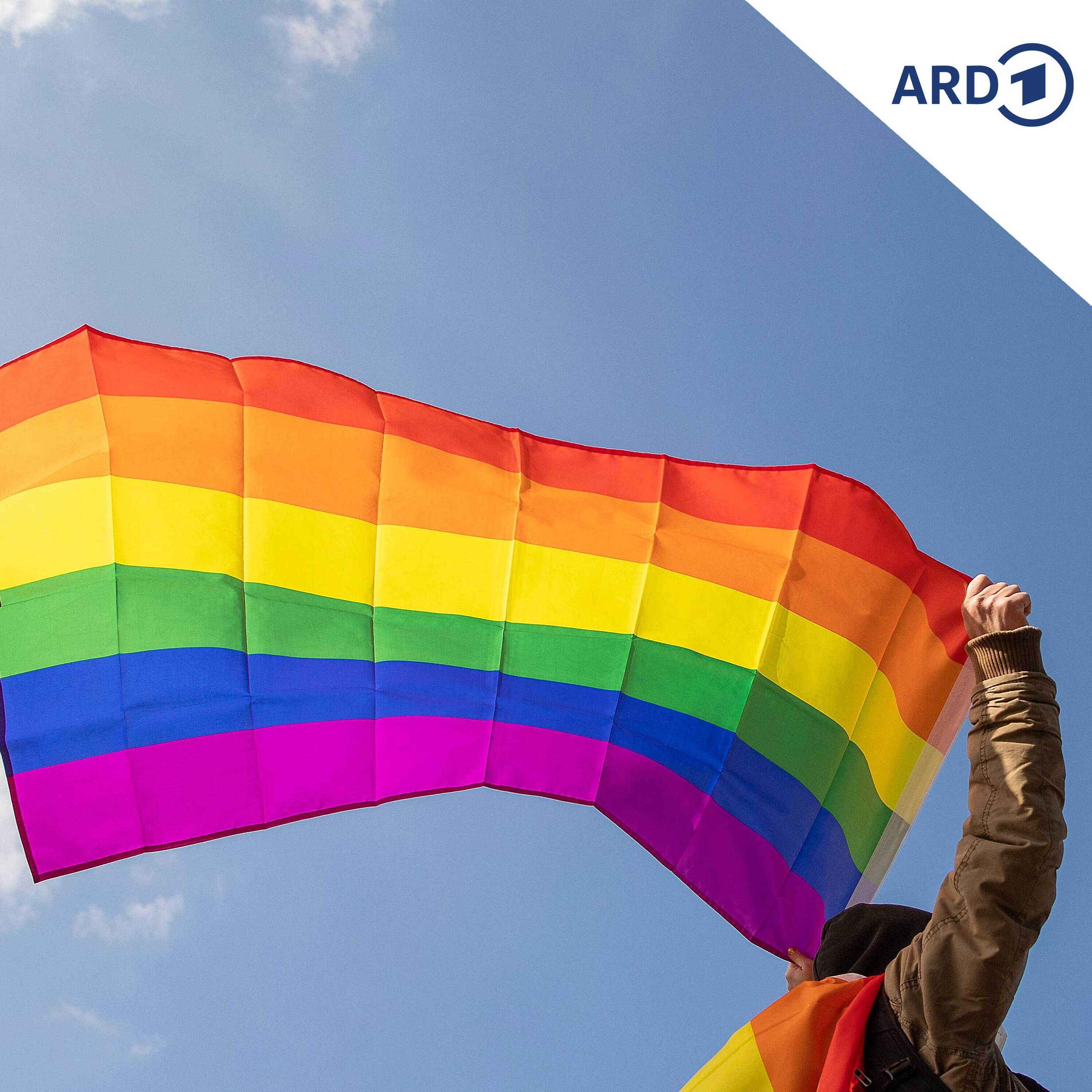 Podcast: Tema LGBTQ+ z hosćom Jurijom Hašku episode artwork