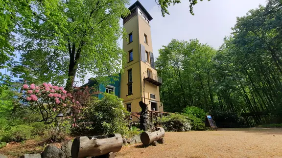 Bergbaude