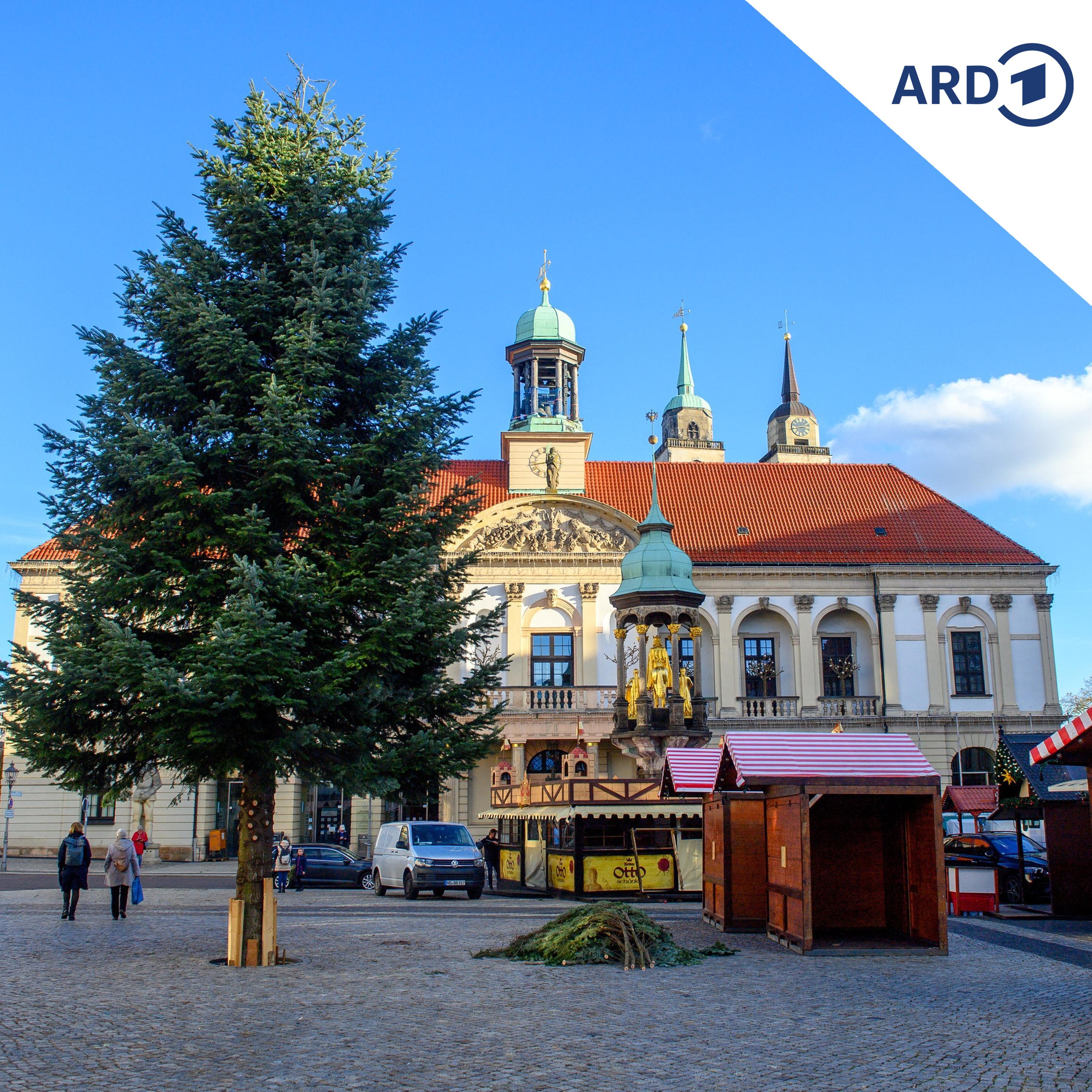 Weihnachtsmarkt Magdeburg: Schaustellerbund verärgert über Hängepartie episode artwork