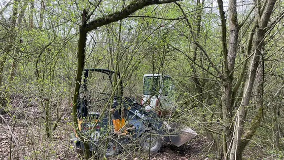 Bagger im Unterholz eines Waldes