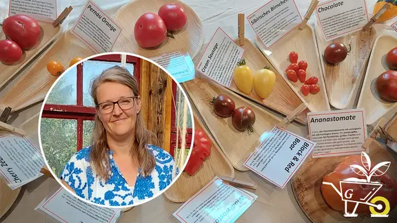 Cover Podcast #53 Besondere Tomatensorten 