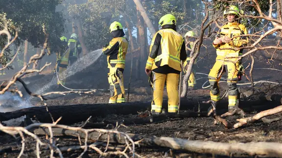 Mehrere Feuerwehrleute in gelber Schutzkleidung mit Atemschutzgeräten löschen einen Waldbrand. Ein Feuerwehrmann im Vordergrund richtet einen Wasserstrahl auf glimmende Stellen im verkohlten Waldboden. Umgestürzte, verkohlte Baumstämme und rauchende Erde bedecken den Boden, im Hintergrund stehen weitere Einsatzkräfte zwischen verbrannten Bäumen.