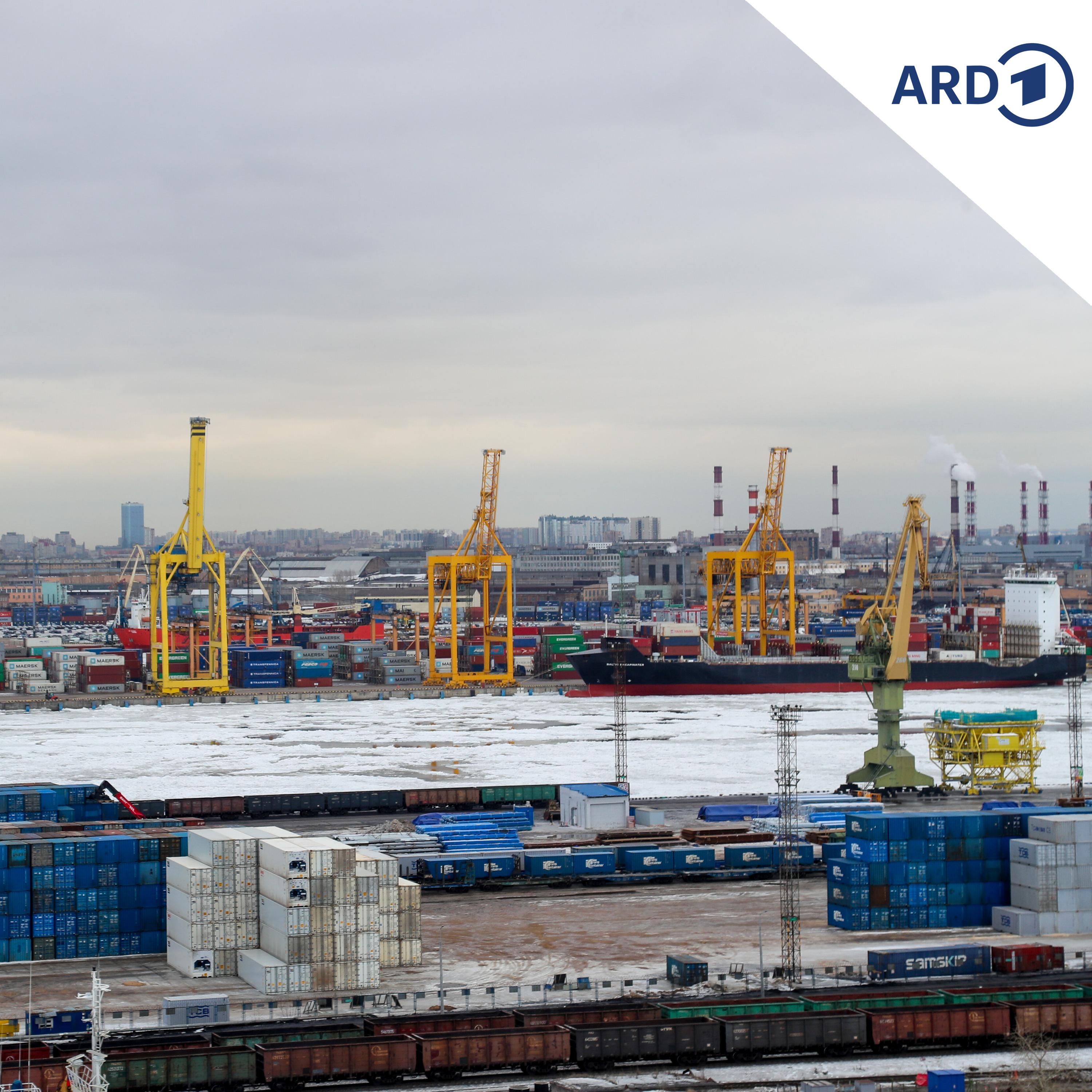 Ukraine greift Öl-Terminal in St. Petersburg an episode artwork