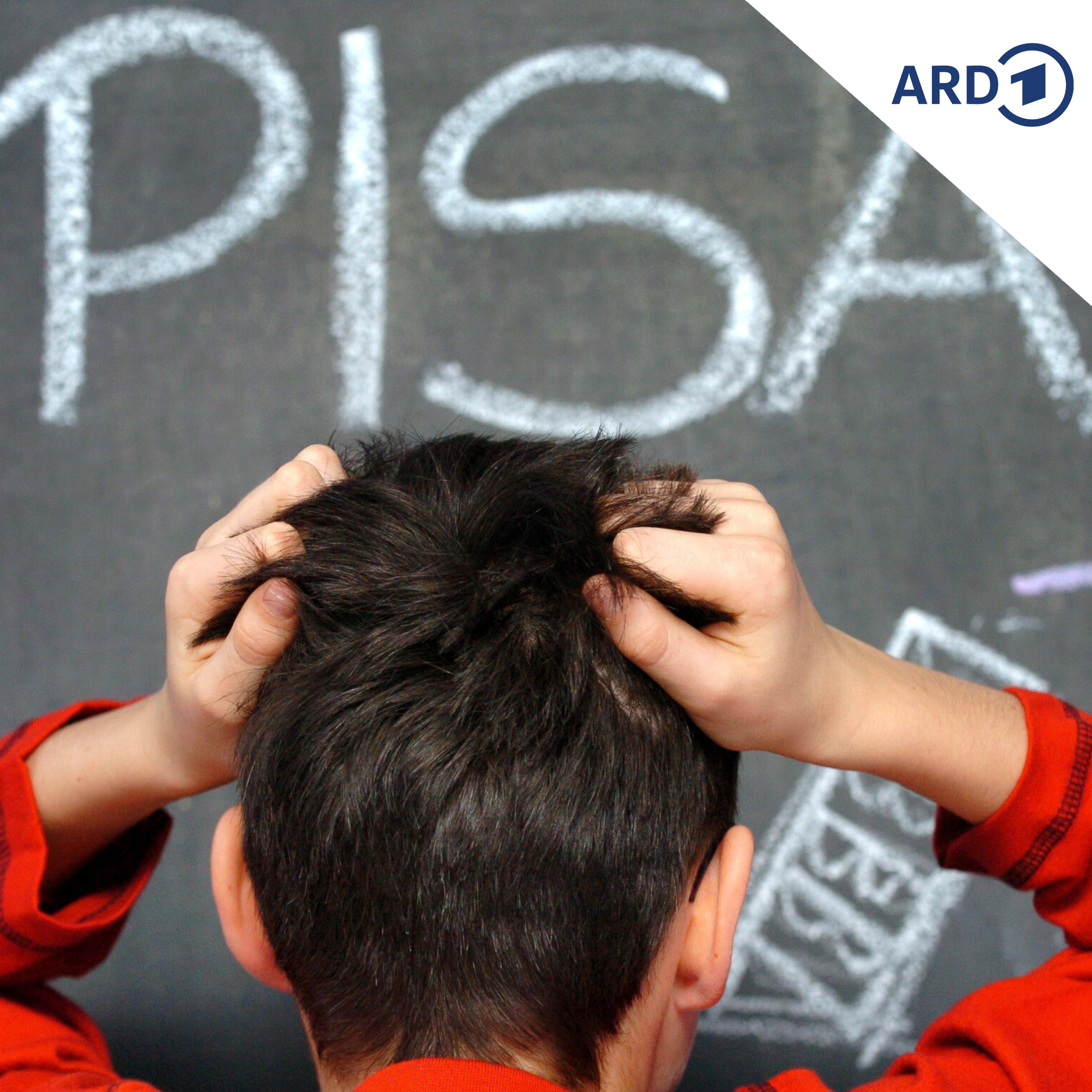 PISA-Studie: Schulleistung auf neuem Tiefstand episode artwork