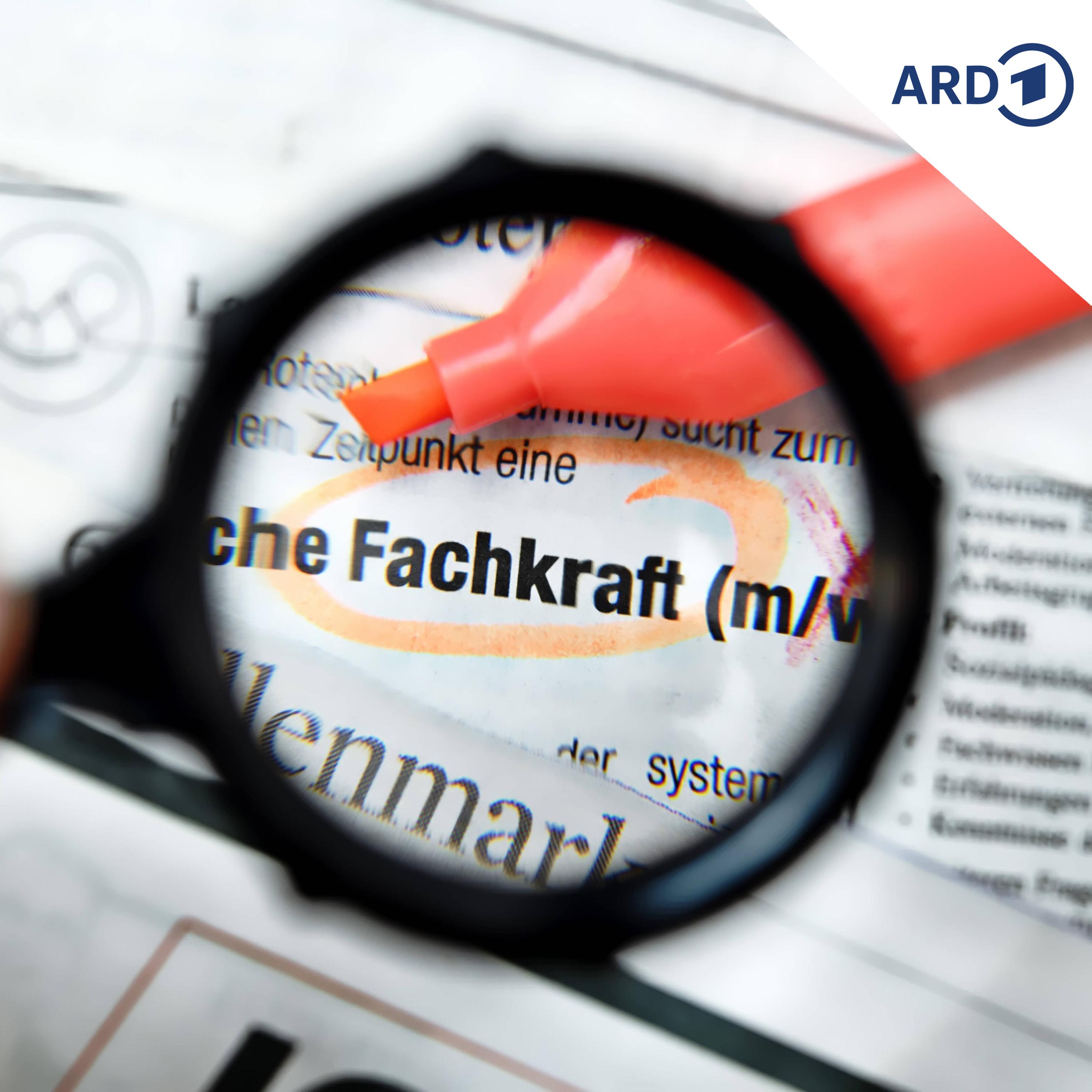 Debatte um  Zukunft der Fachkräfte-Agentur in Sachsen episode artwork