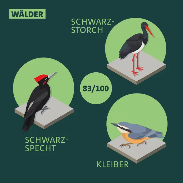 Indikatorarten für die Wälder und der aktuelle Wert