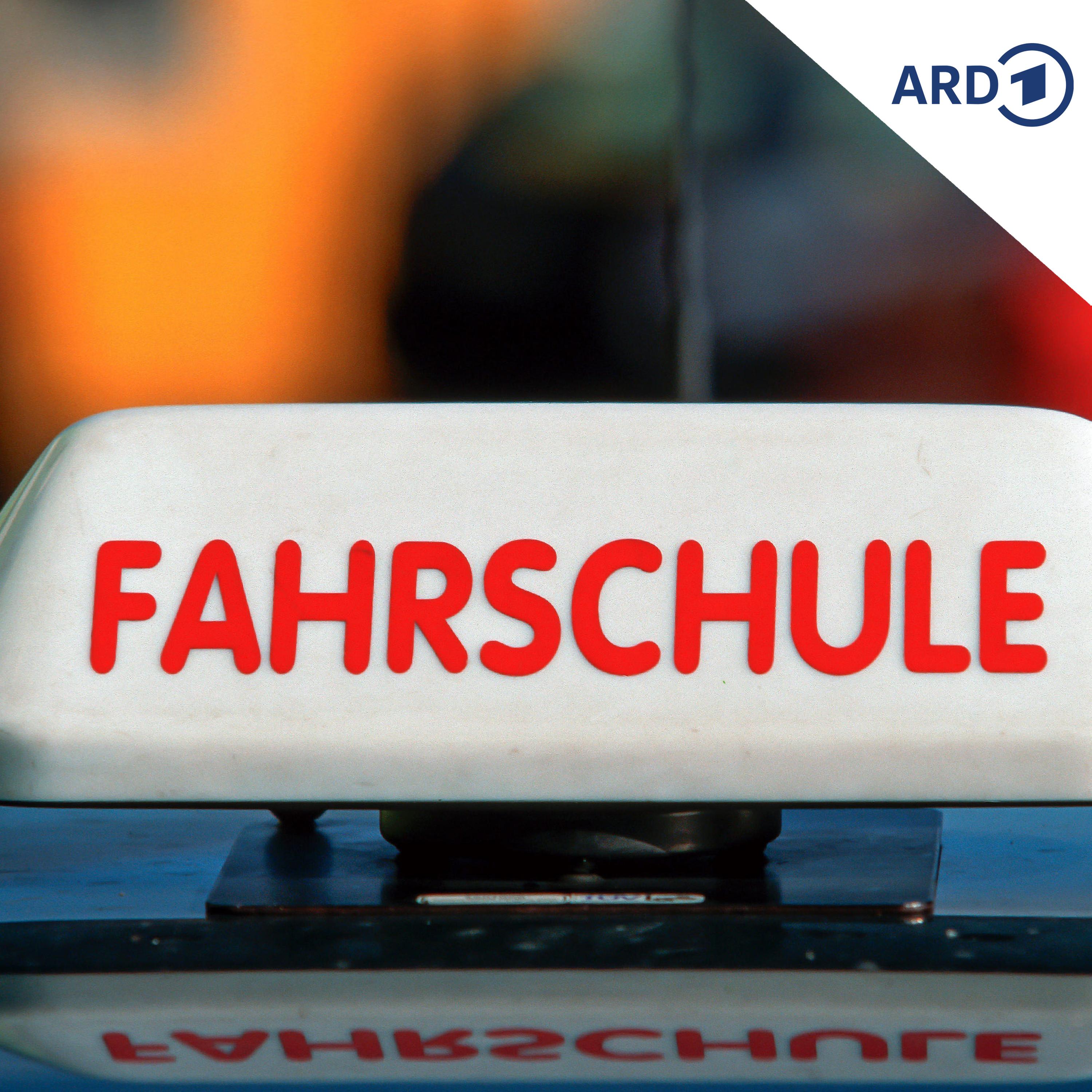 Wann kommt die Führerschein-Reform, Frau Hüskens? episode artwork