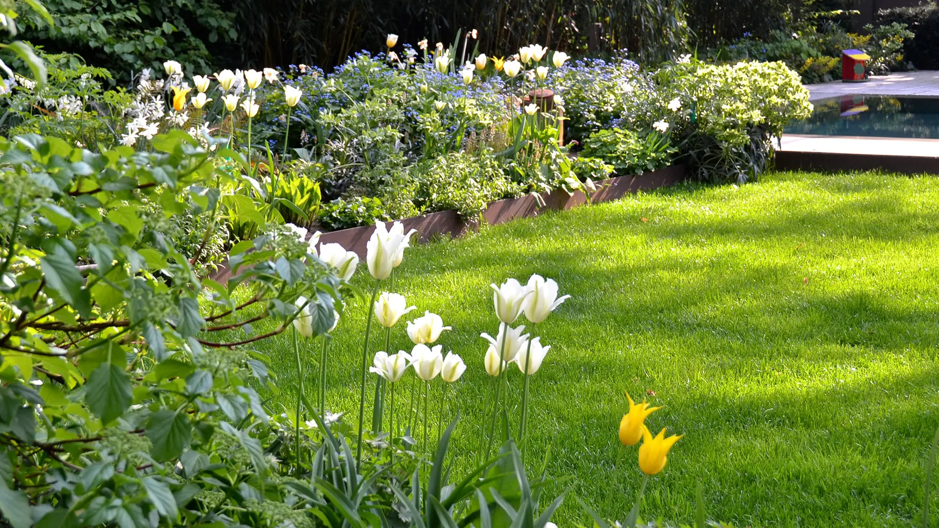 Rasen im Garten anlegen, dngen und richtig pflegen | mdr.de