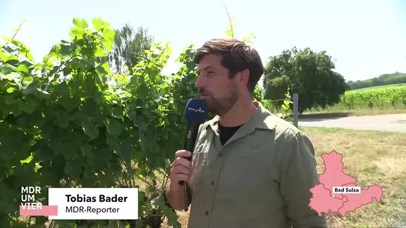 Szene aus Livestream MDR-Fernsehen