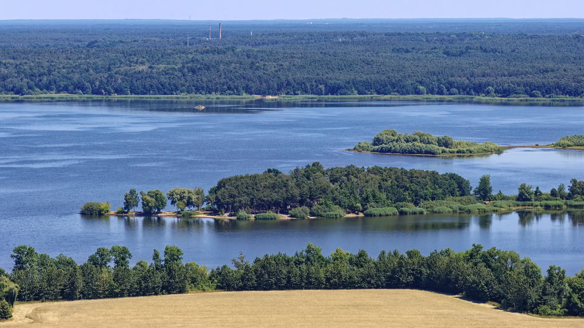 Blaualgen im Stausee Quitzdorf: Gesundheitsamt warnt vor dem Baden