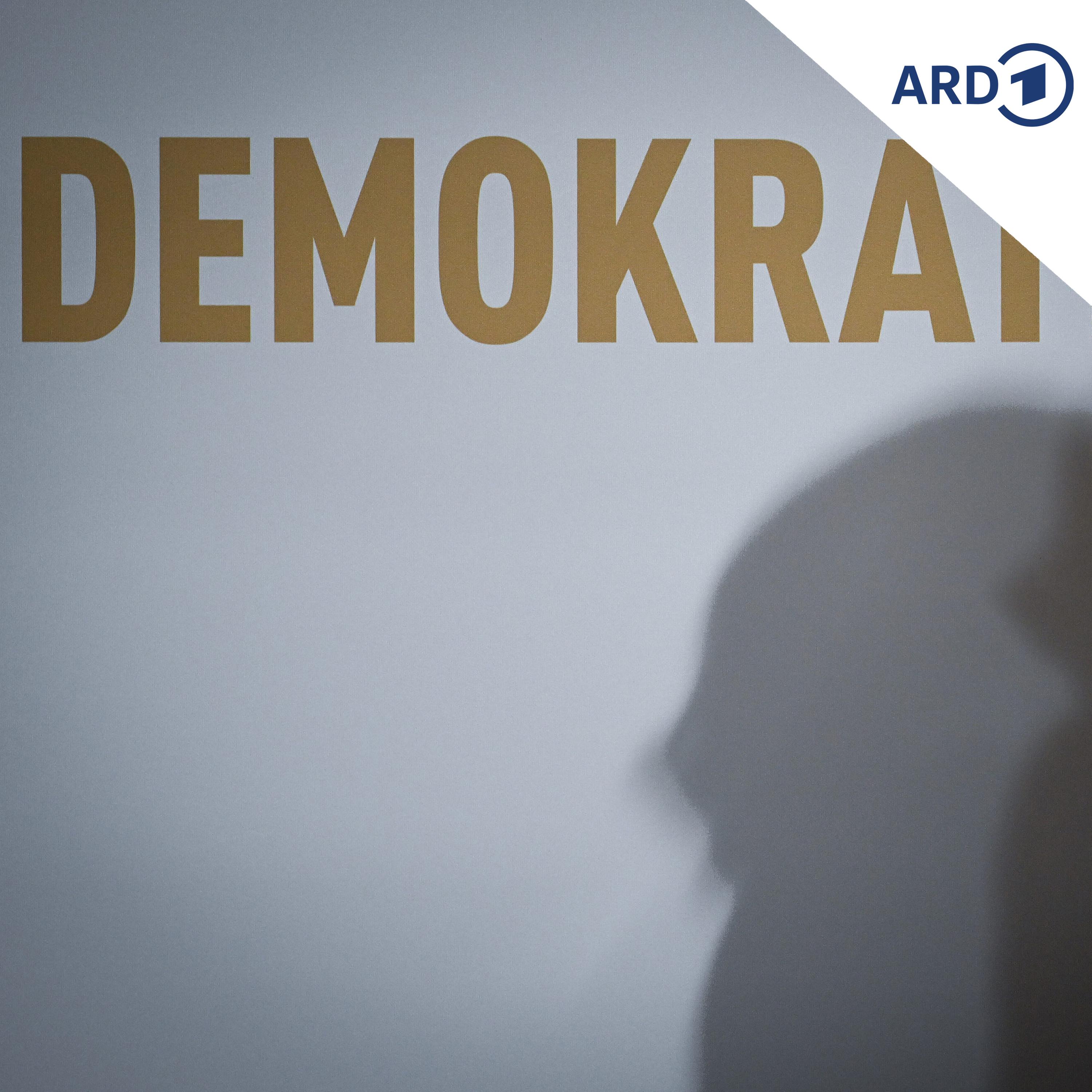 Debatte um Förderung von Demokratie-Programmen episode artwork