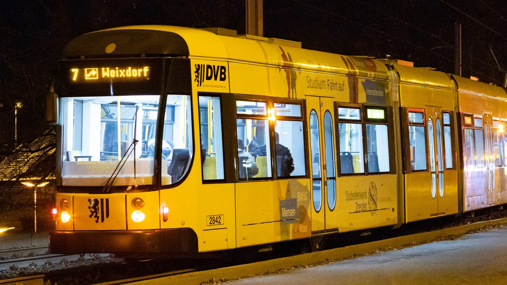 Fußgänger angefahren - DVB trennen sich von Straßenbahnfahrer