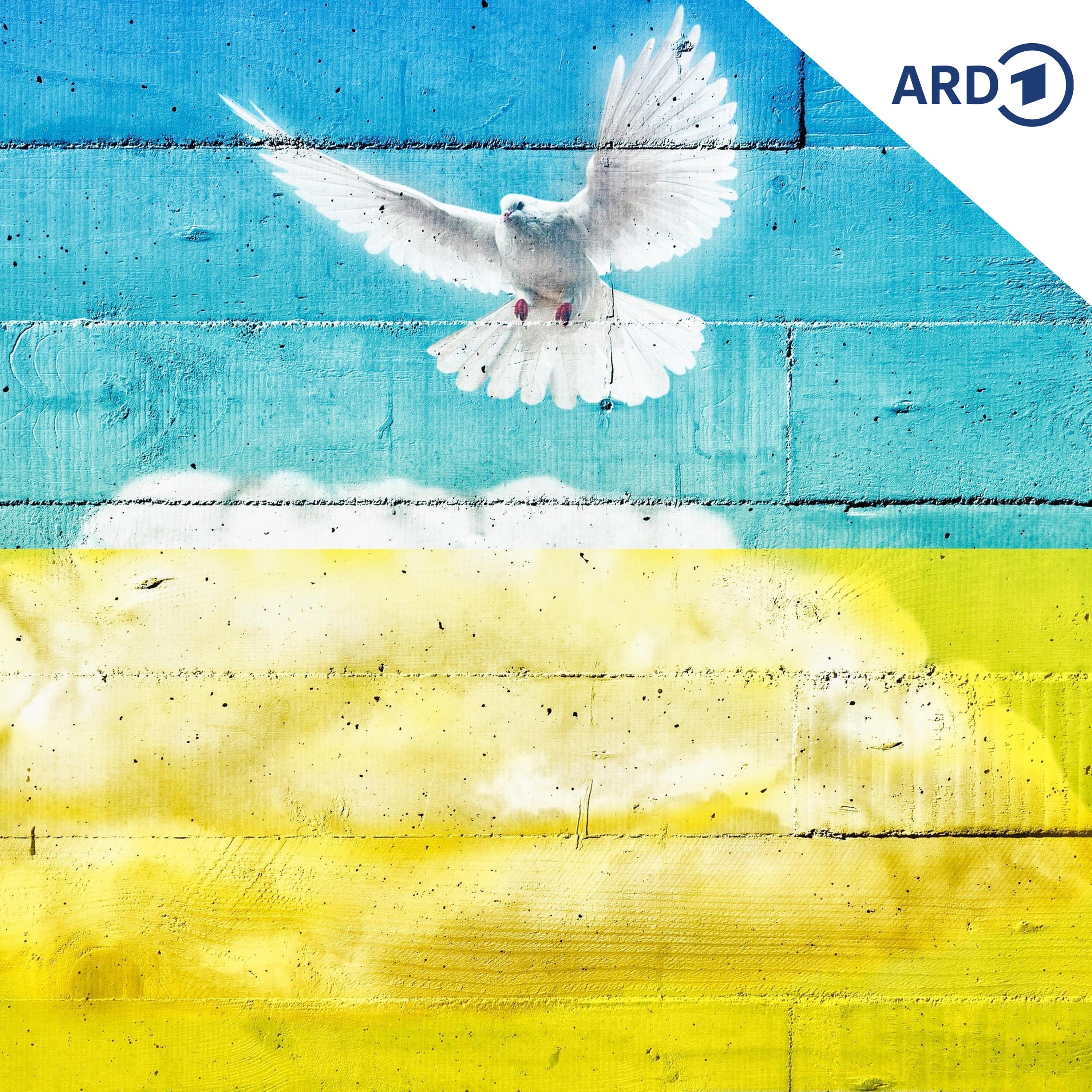 Diskussionen in der Kirche: Wie kann Frieden werden? episode artwork