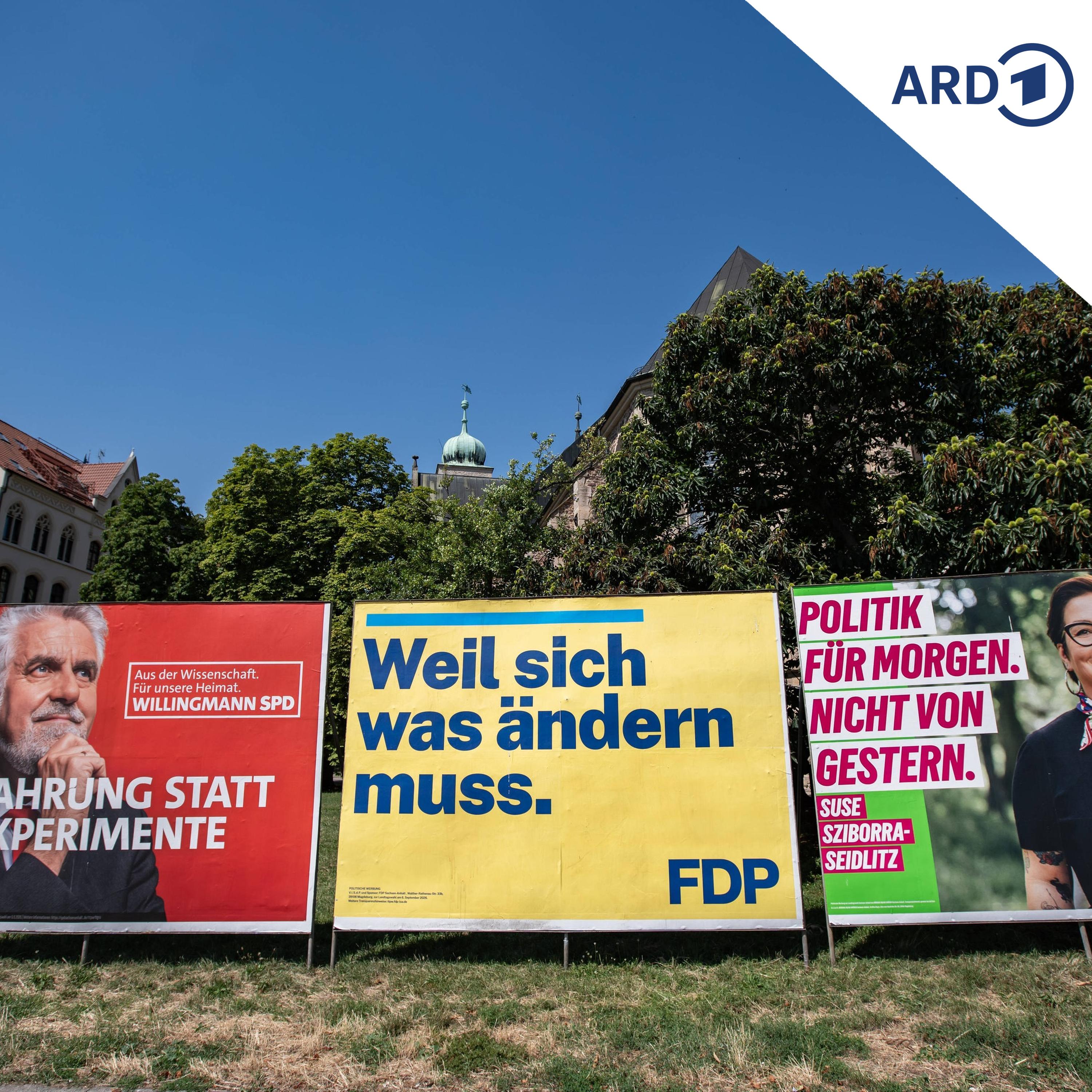 Wahl-Checker: Hat die Polarisierung zugenommen? episode artwork