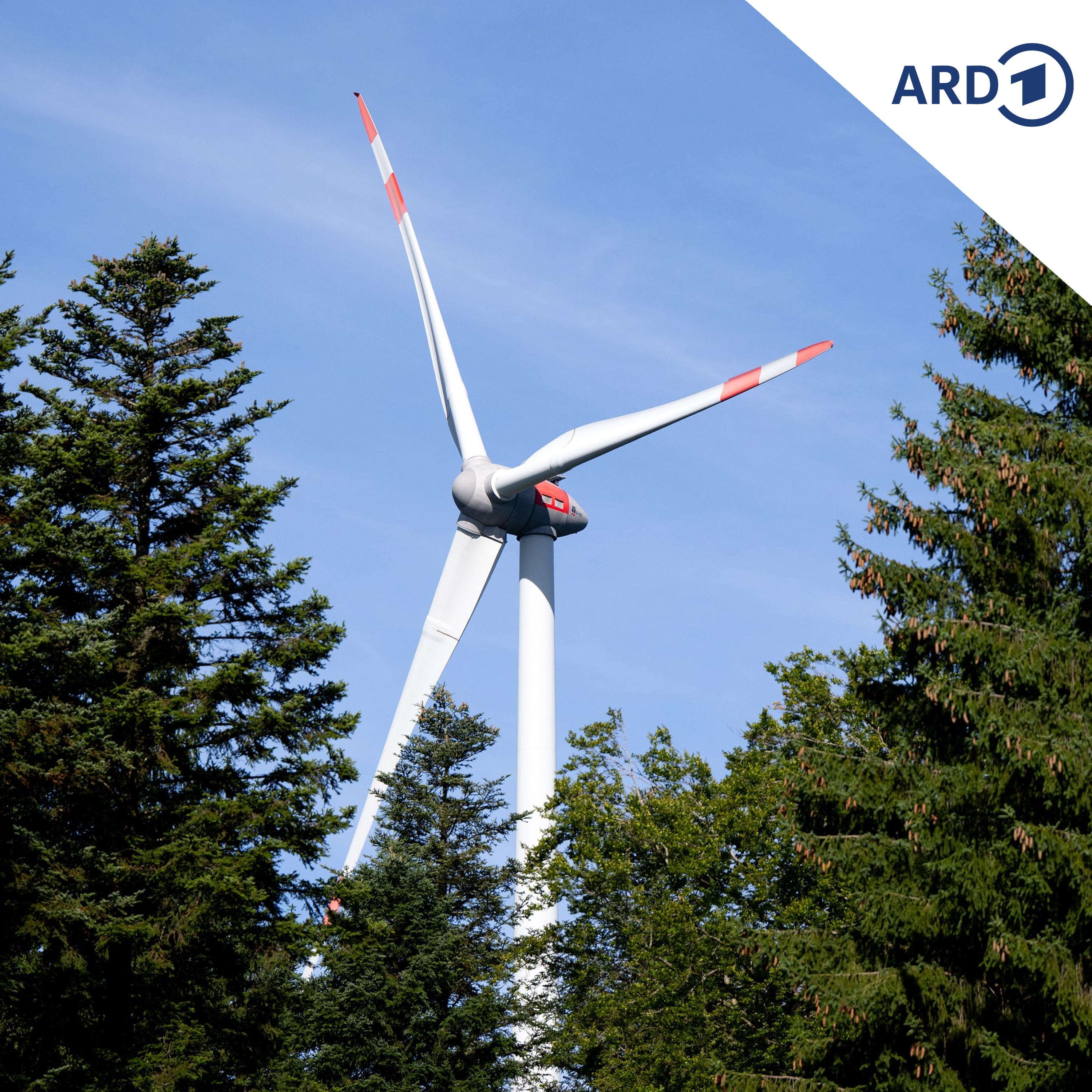 Streit um Windräder in Dübener Heide episode artwork