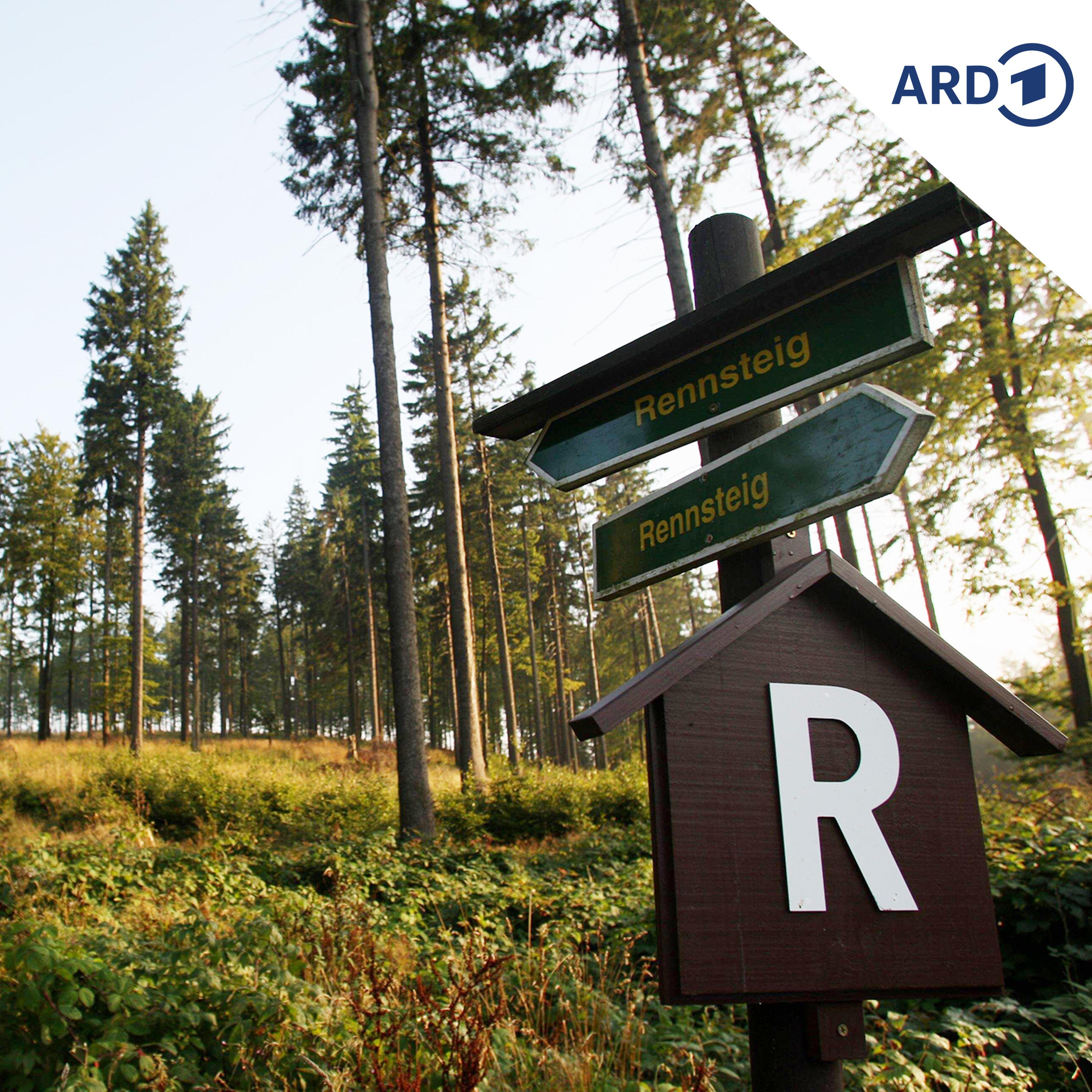 Landkreis Sonneberg verlässt Regionalverbund Thüringer Wald episode artwork