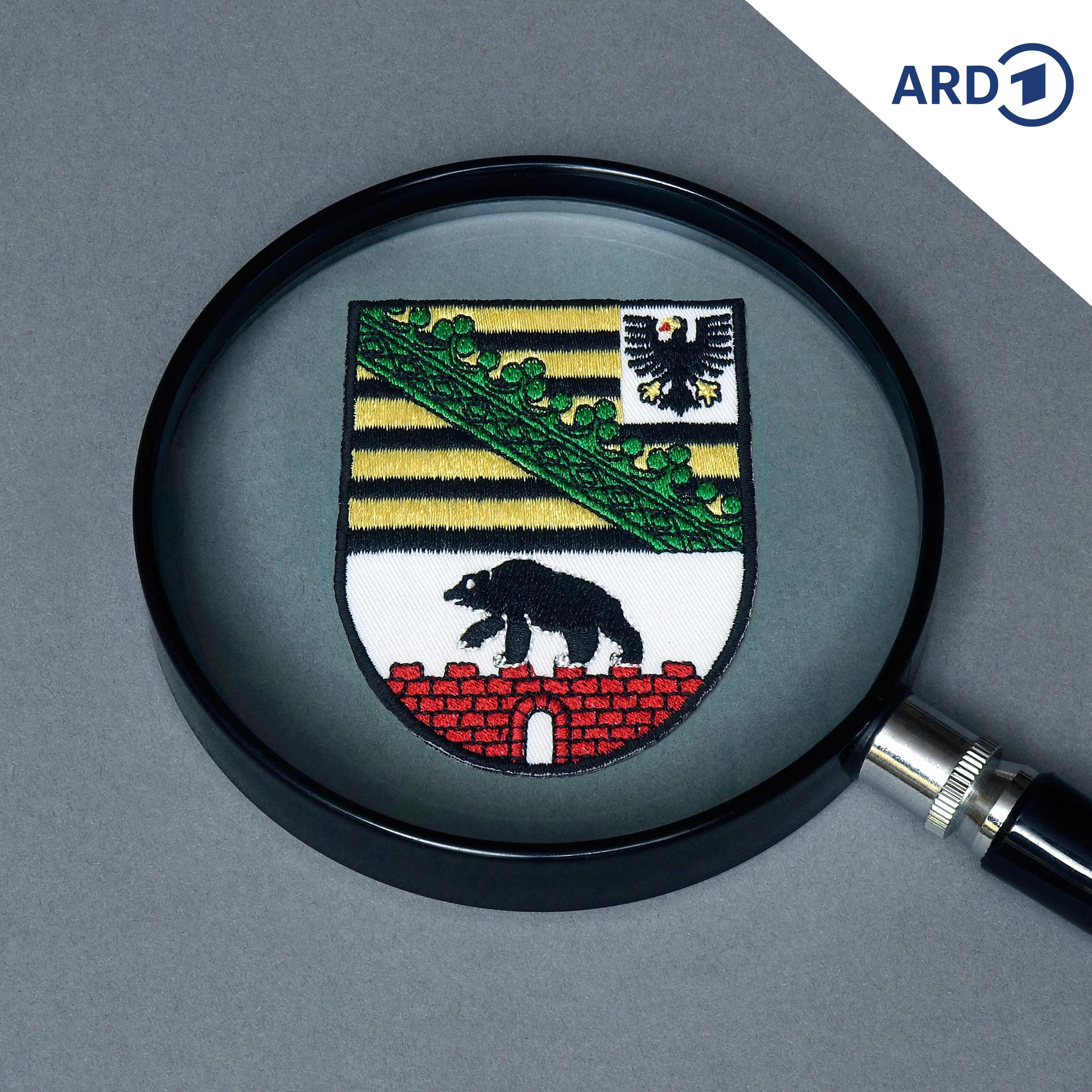 Die Wahl-Checker stellen sich vor episode artwork