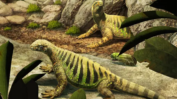 Rekonstruktion von Eunotosaurus africanus