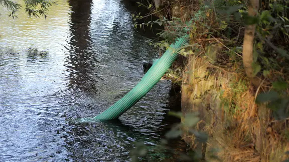 grüner Schlauch ragt aus Flussbett der Apfelstädt auf Höhe der Lohmühle 