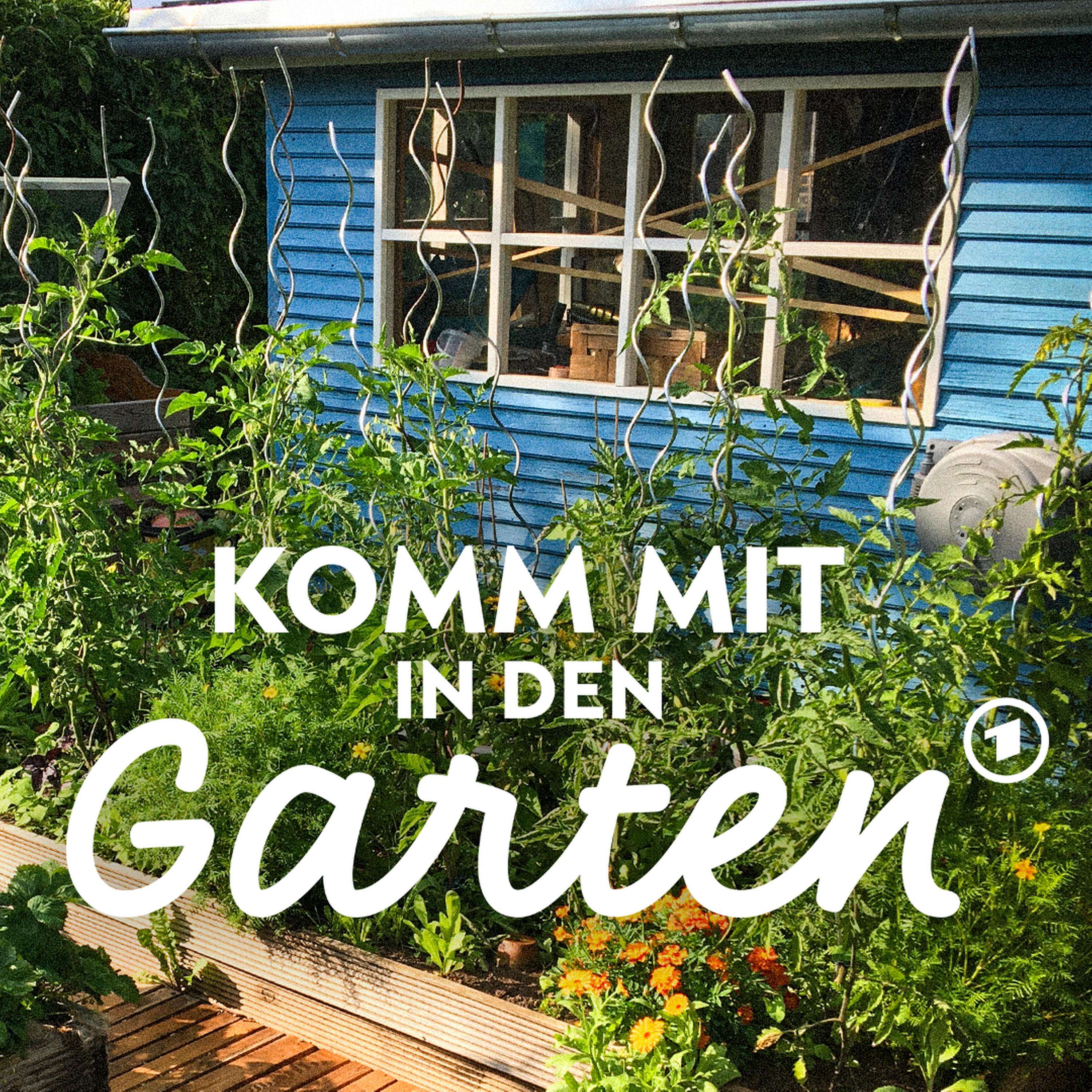 Was macht ein Kleingartenfachberater? episode artwork
