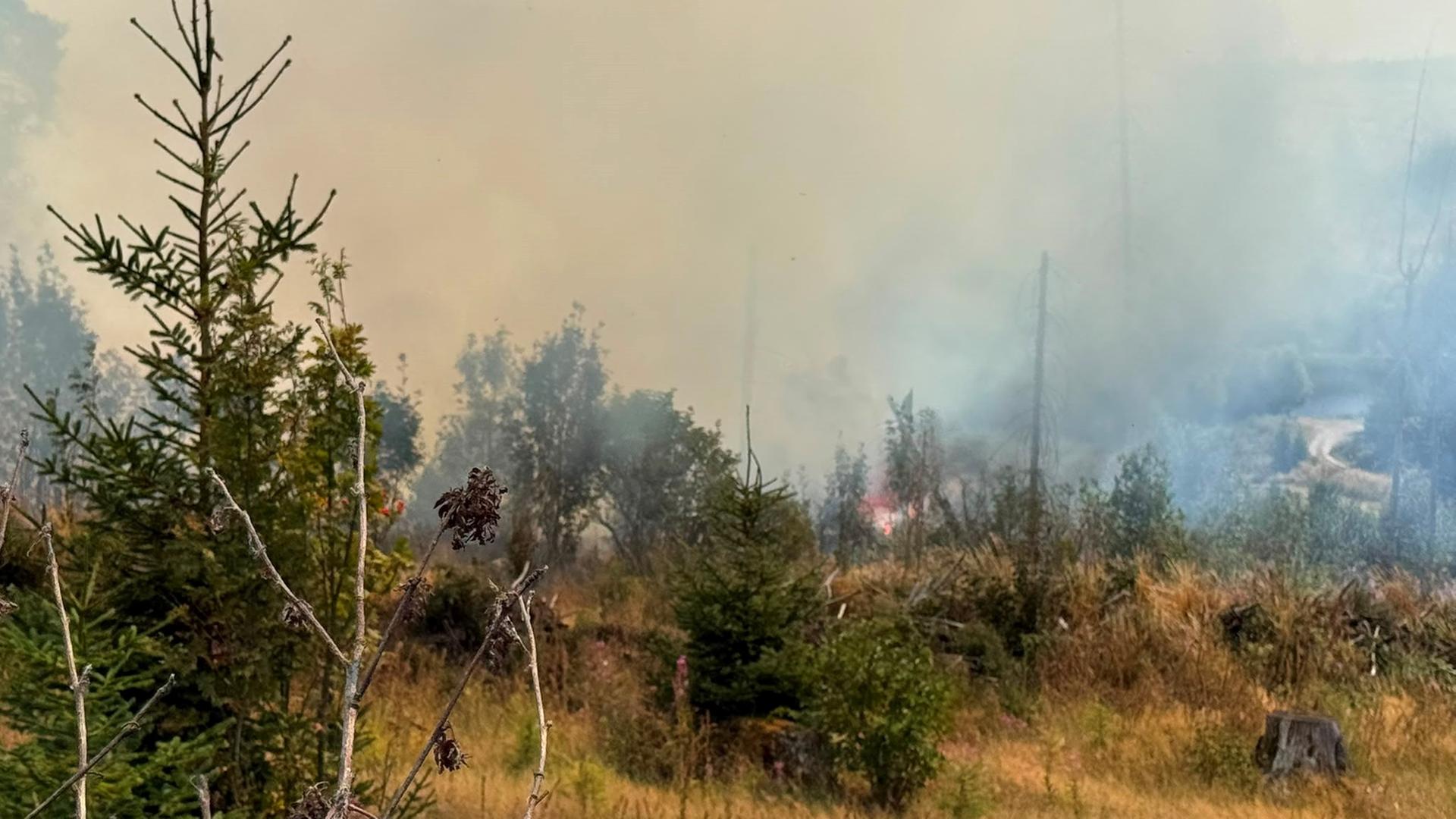 Waldbrand bei Benneckenstein im Harz am 13.8.2026 | Kai-Uwe Lohse