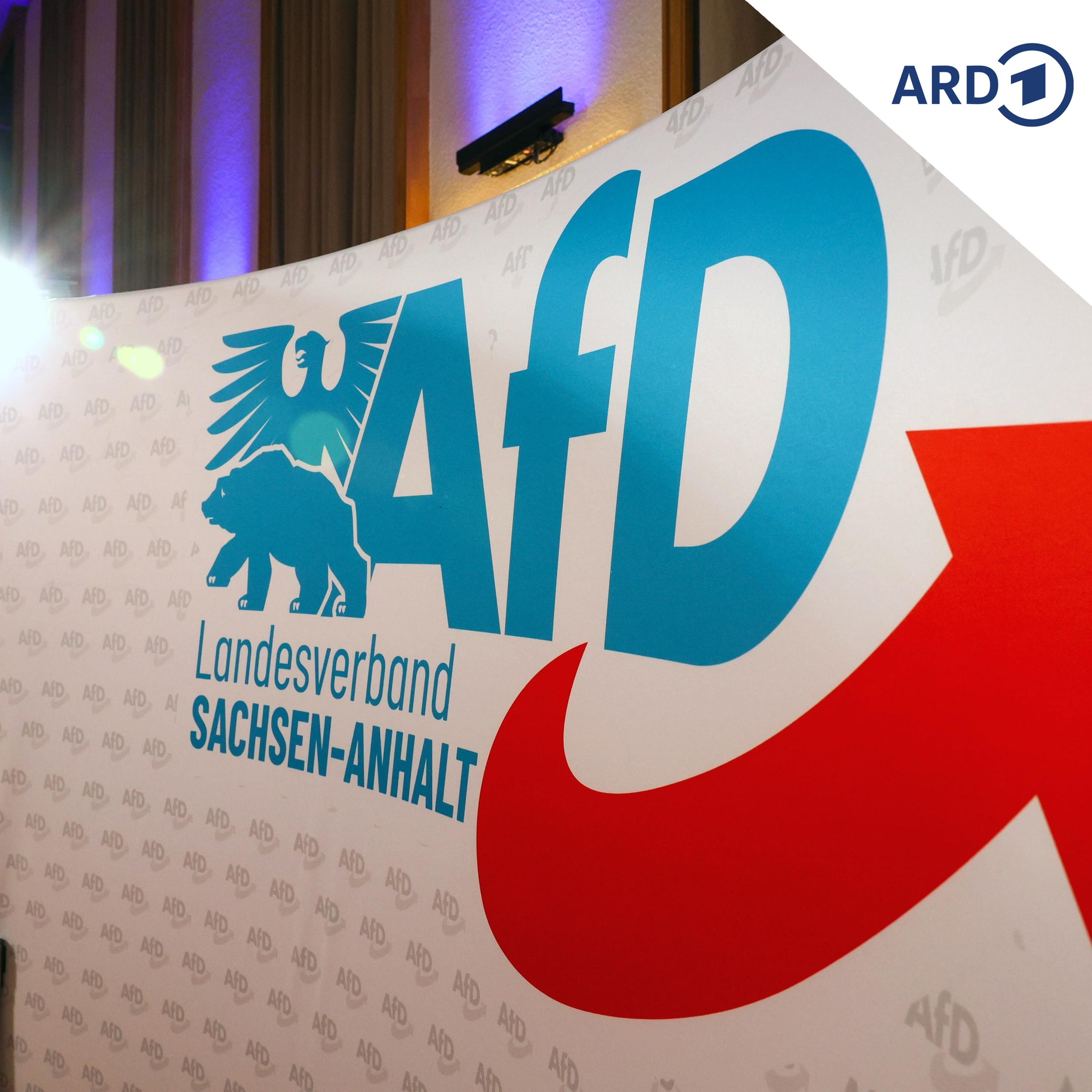 Was steckt hinter dem AfD-Höhenflug in Sachsen-Anhalt? episode artwork