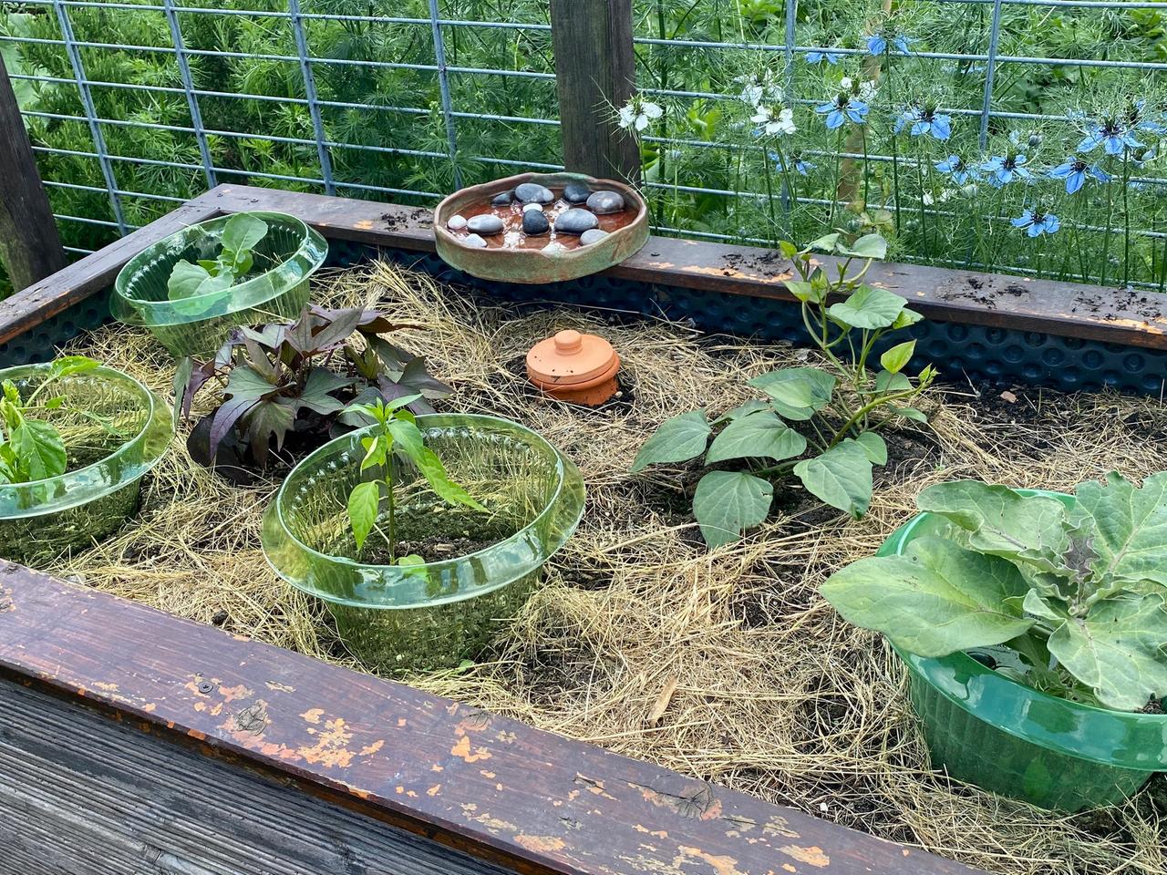 Urlaub trotz Garten: Geschickt planen und Wasser sparen