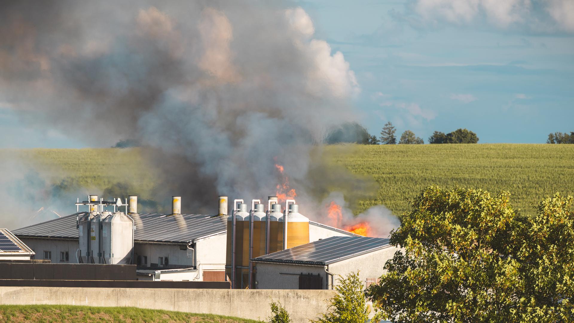 Schon wieder Brand in Agrarbetrieb in Bernsgrün - Mehrere Hundert Schweine verendet