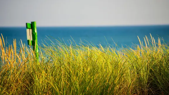 Düne mit Strandhafer und Schild