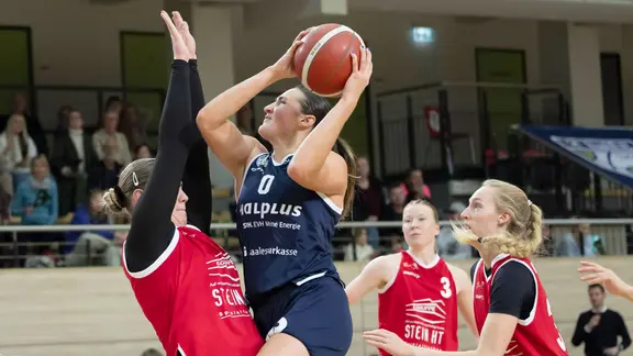 DBBL: halfit Lions bleiben daheim eine Macht