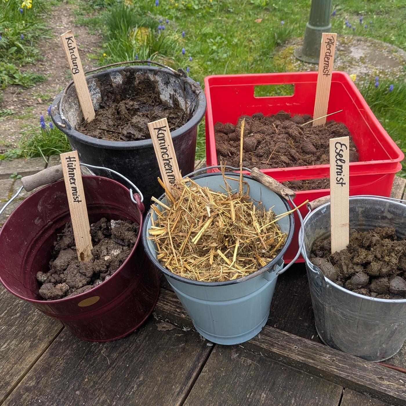 So kannst du Pferdemist als Dnger fr den Garten nutzen